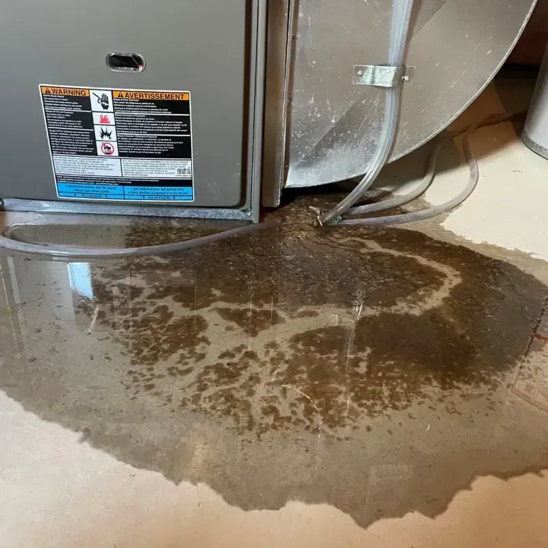 Appliance Leak Cleanup in Eldorado at Santa Fe, NM